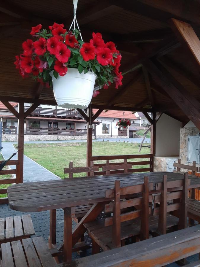 Pensiunea Marceluca Hodosa Zewnętrze zdjęcie